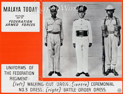 
        11092|
        Uniforms Of The Federation Regiment